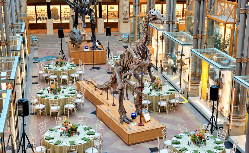 Museum of Natural History venue