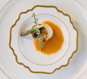 Top view of a scallop dish