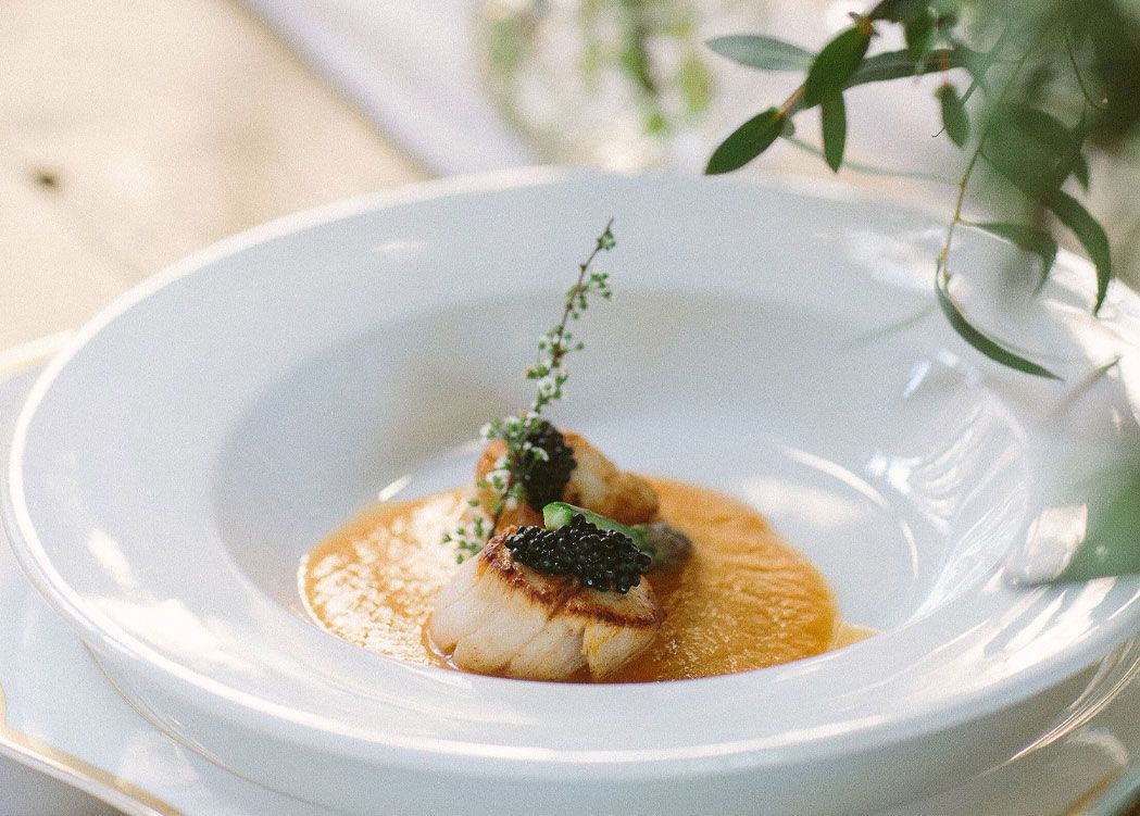 Close shot of Elegant Cuisine  Scallops