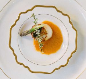 Top view of a scallop dish